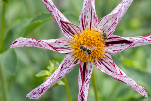 1760268 (a): :1920x1280